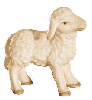 Agnellino in legno scolpito - 16.0 cm