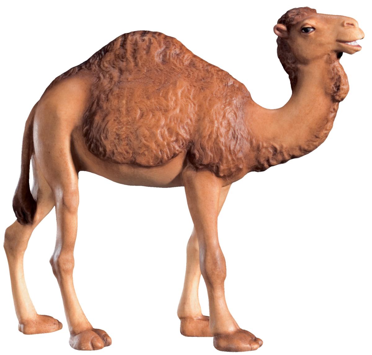 Cammello in legno per presepio - 8.0 cm