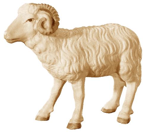 Montone per presepe in legno - 16.0 cm