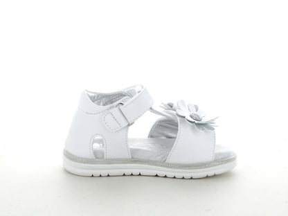 ASSO AG17310 SANDALO BIMBA E RAGAZZA
